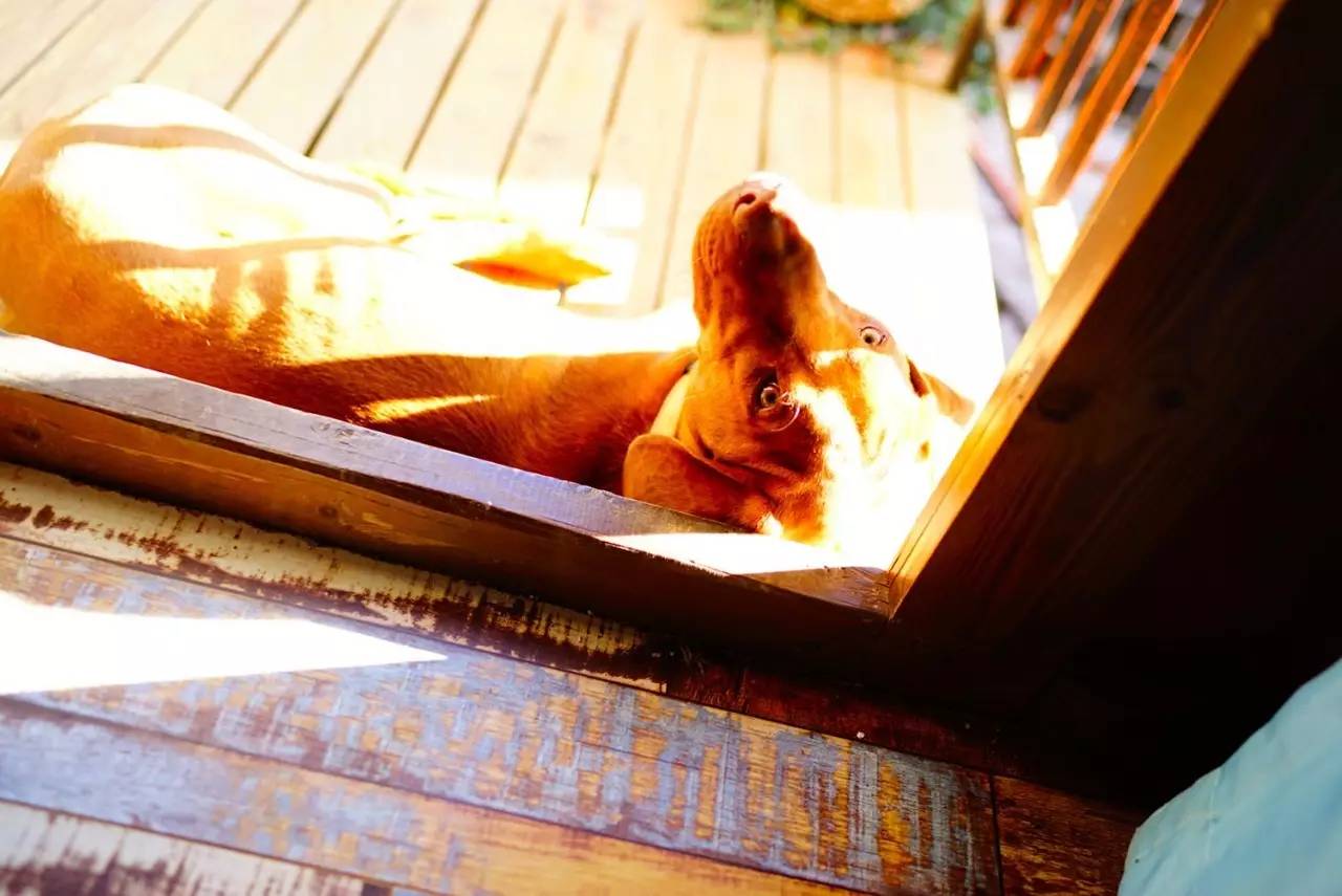 文殊·林舍，在麗江古城過著獨一無二的小日子