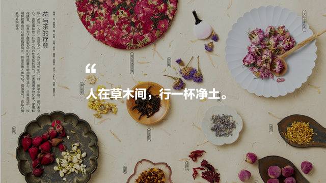 中國茶道禪茶館，茶乃人生樂事