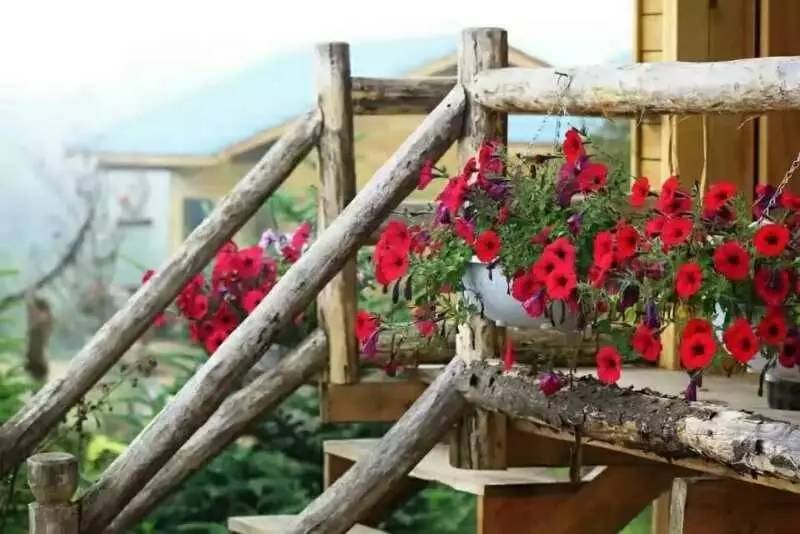 若丁山七號營地，無數(shù)人向往的“星空露營地”