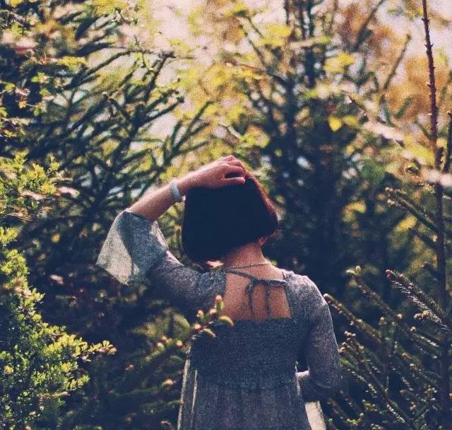 若丁山七號營地，無數(shù)人向往的“星空露營地”