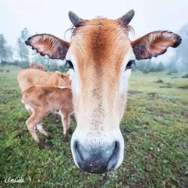 若丁山七號營地，無數(shù)人向往的“星空露營地”