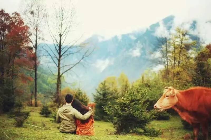 若丁山七號營地，無數(shù)人向往的“星空露營地”