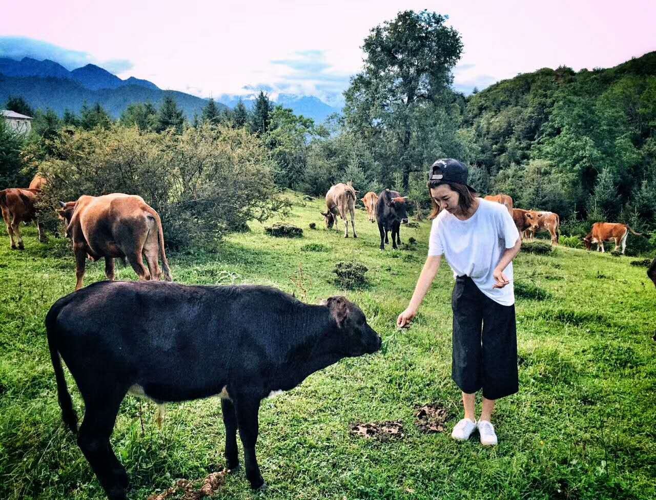 若丁山七號營地，無數(shù)人向往的“星空露營地”