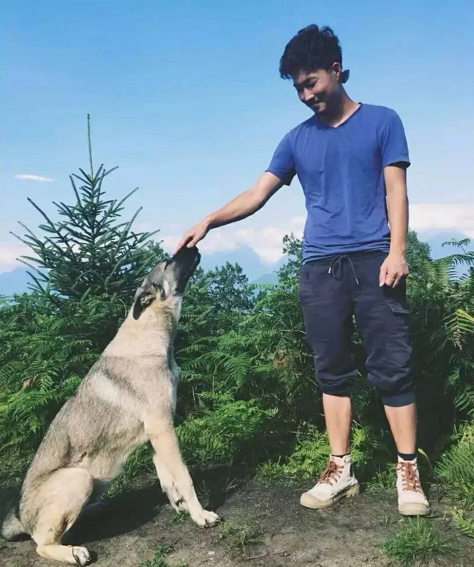 若丁山七號營地，無數(shù)人向往的“星空露營地”