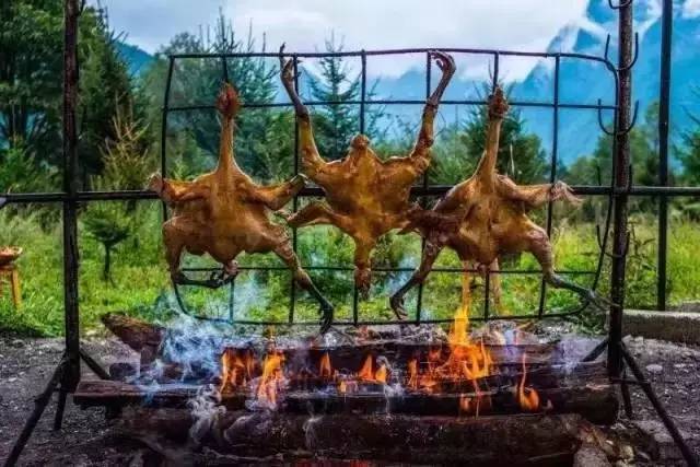 若丁山七號營地，無數(shù)人向往的“星空露營地”