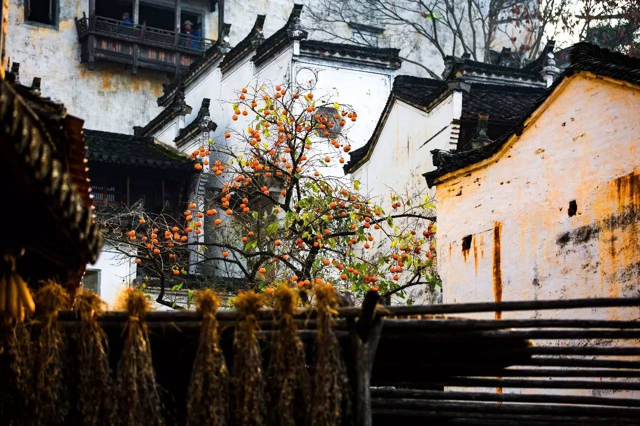 墅家墨娑西沖院，活了的老宅訴說舊日的時(shí)光