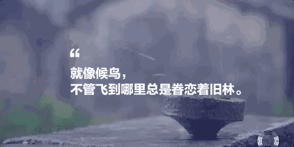 墅家墨娑西沖院，活了的老宅訴說舊日的時(shí)光