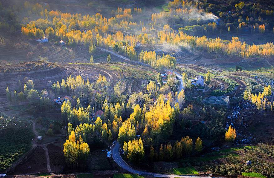 沂蒙山舍，呼吸大自然“臥聽松嘯 伴山而眠”