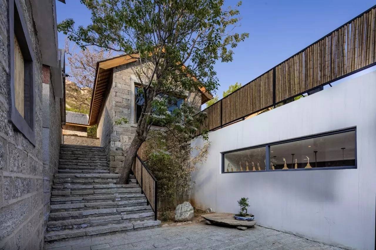 沂蒙山舍，呼吸大自然“臥聽松嘯 伴山而眠”