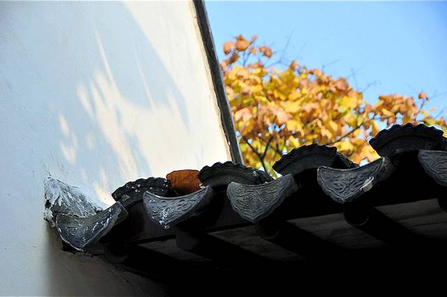 中國(guó)人在秋天的九種情調(diào)，唯美古風(fēng)句子