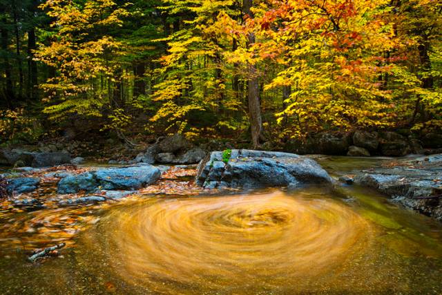中國(guó)人在秋天的九種情調(diào)，唯美古風(fēng)句子