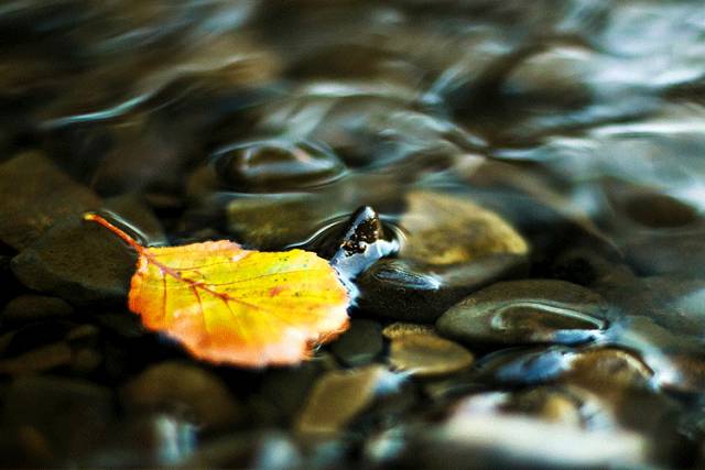 中國(guó)人在秋天的九種情調(diào)，唯美古風(fēng)句子