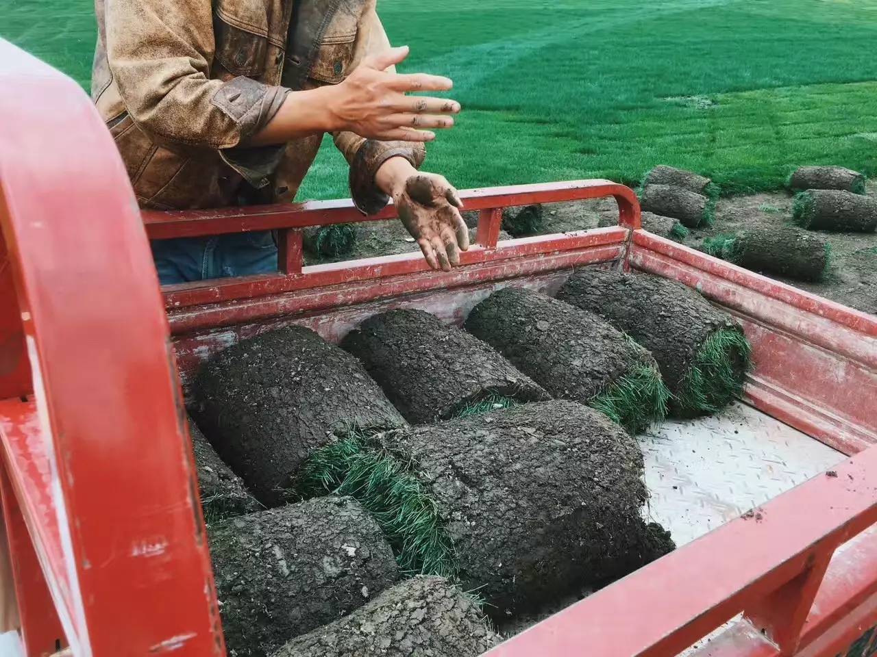 大理吾居，吾之居所無拘無束