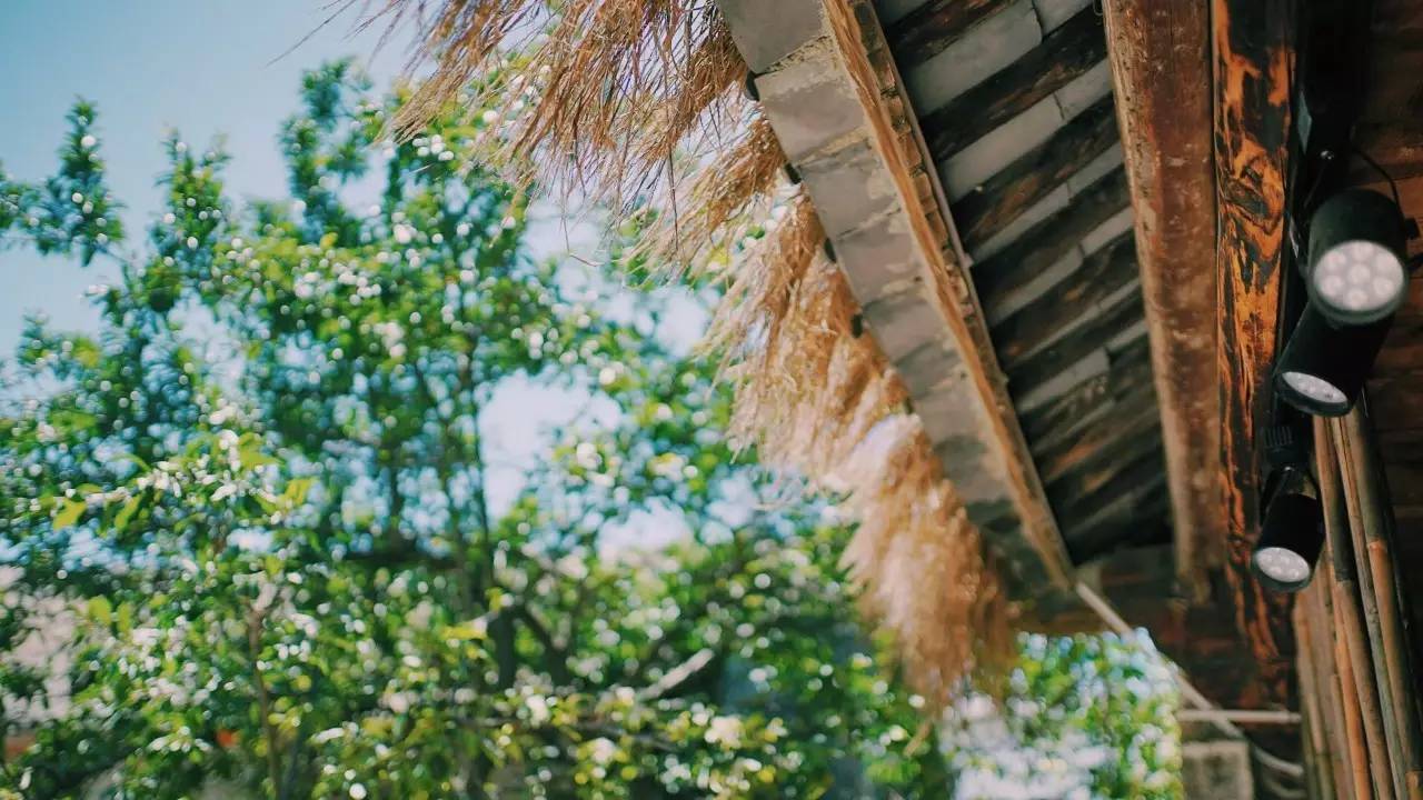 大理吾居，吾之居所無拘無束