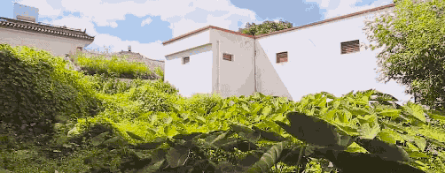 大理吾居，吾之居所無拘無束