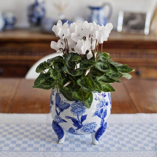 青花瓷，最美是青花!