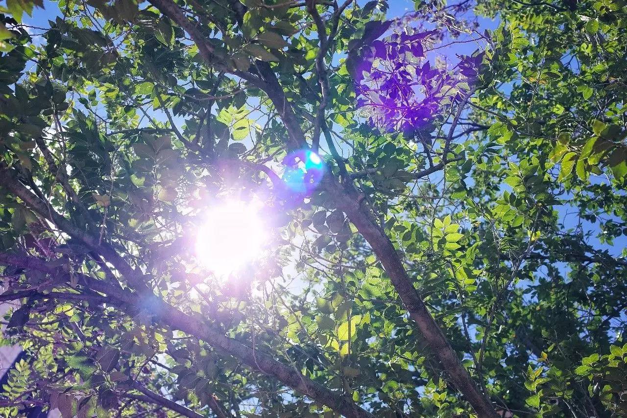 拉薩香格里拉酒店，睡在世界屋脊之上