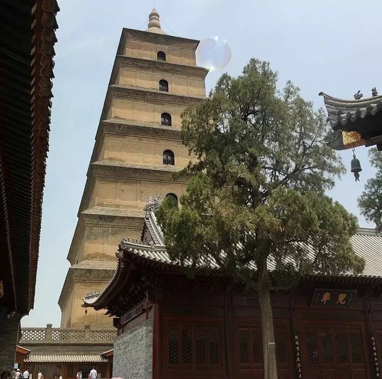 種類繁多的中國佛塔，佛教文化博大精深