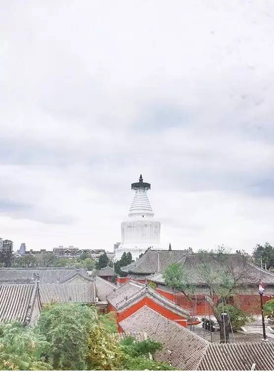 種類繁多的中國(guó)佛塔，佛教文化博大精深