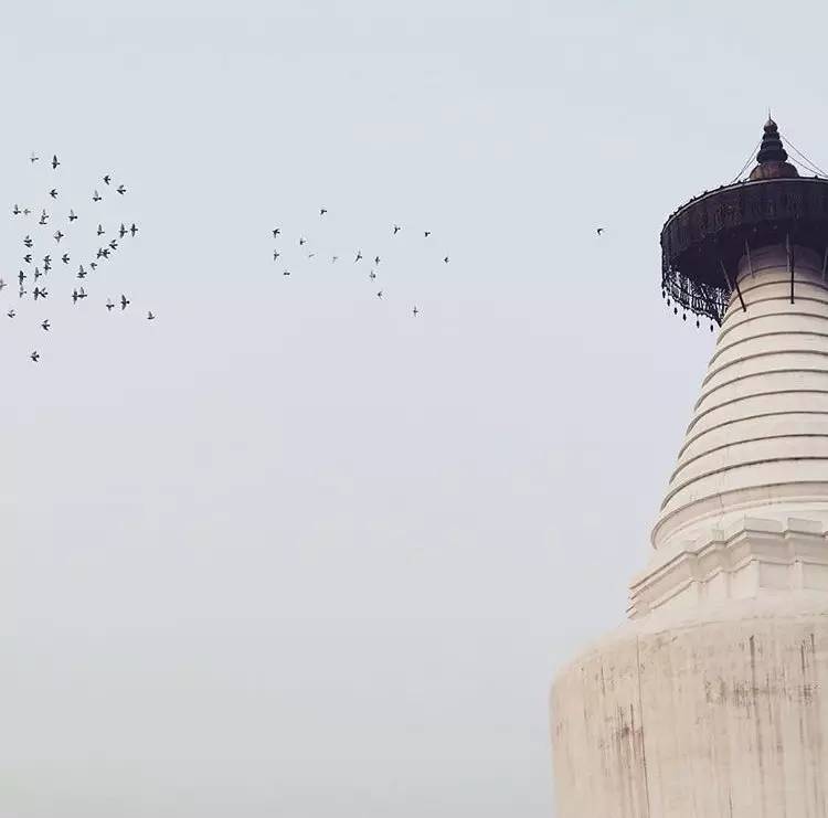 種類繁多的中國(guó)佛塔，佛教文化博大精深