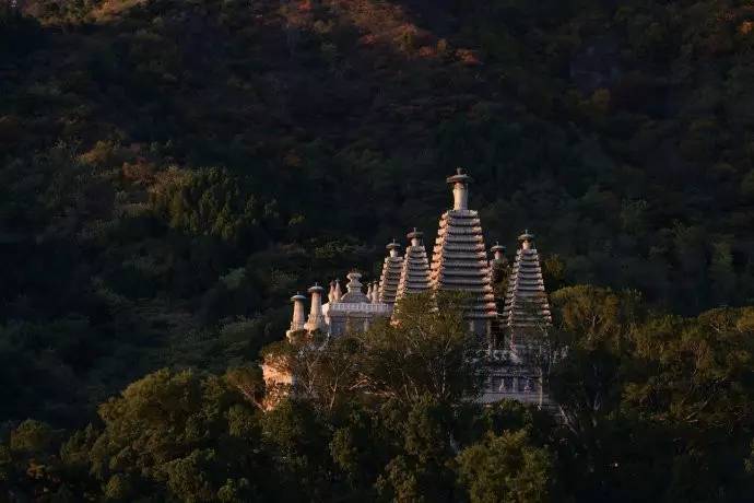 種類繁多的中國佛塔，佛教文化博大精深