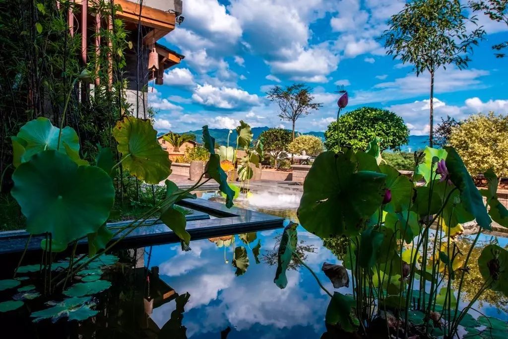 茶隱山房，以茶會(huì)友隱逸塵世