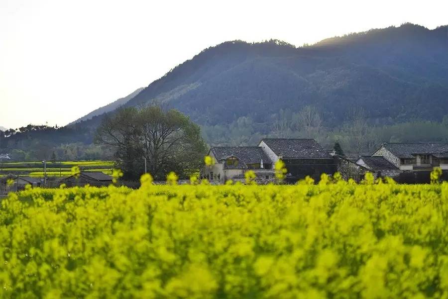 關(guān)麓小筑，修繕一棟百年老宅