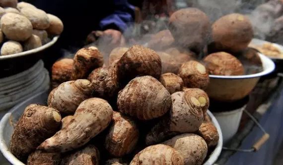 棲霞山居，溪流環(huán)繞在古村落捕魚看霞光