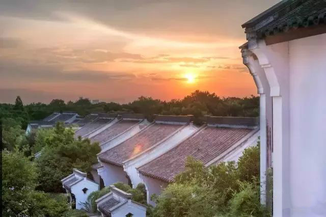 西溪濕地三款最美避世酒店，果然一派驚艷