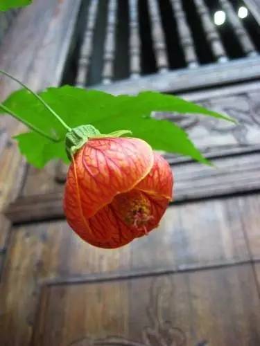 陽朔明清老宅院，留一份純真質樸回歸本真