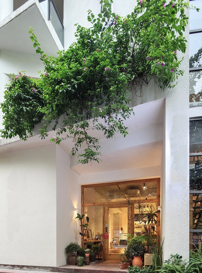 北京懷柔白鳥集，飛翔的白鳥我在等你乘風(fēng)歸來