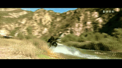 北京懷柔白鳥集，飛翔的白鳥我在等你乘風(fēng)歸來