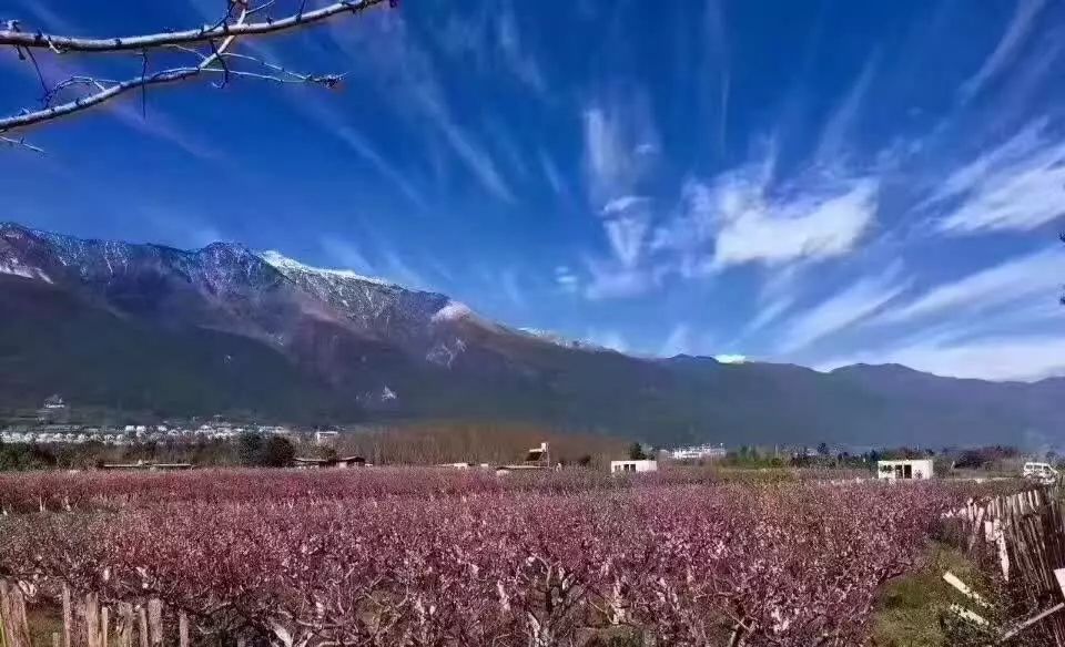 麗江束河聚寶齋民宿，告別曾經(jīng)邂逅未來的美麗