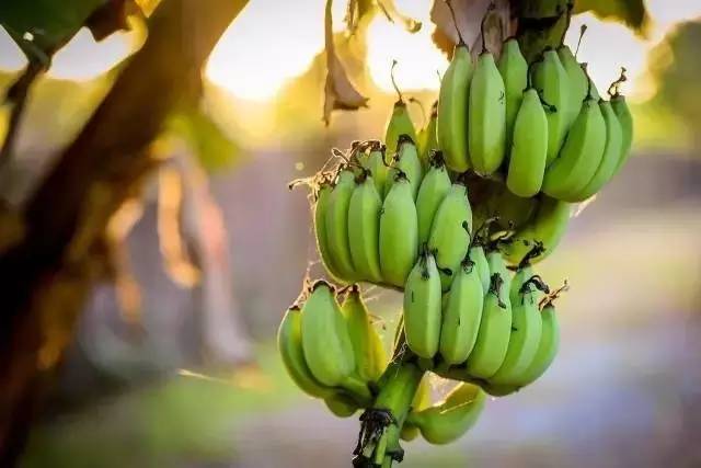 Airbnb上民宿，遇見你日子原來這么美妙