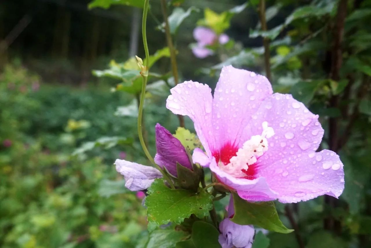 杭州·天方夜潭，給你一個(gè)「山脊之巔」的舞臺