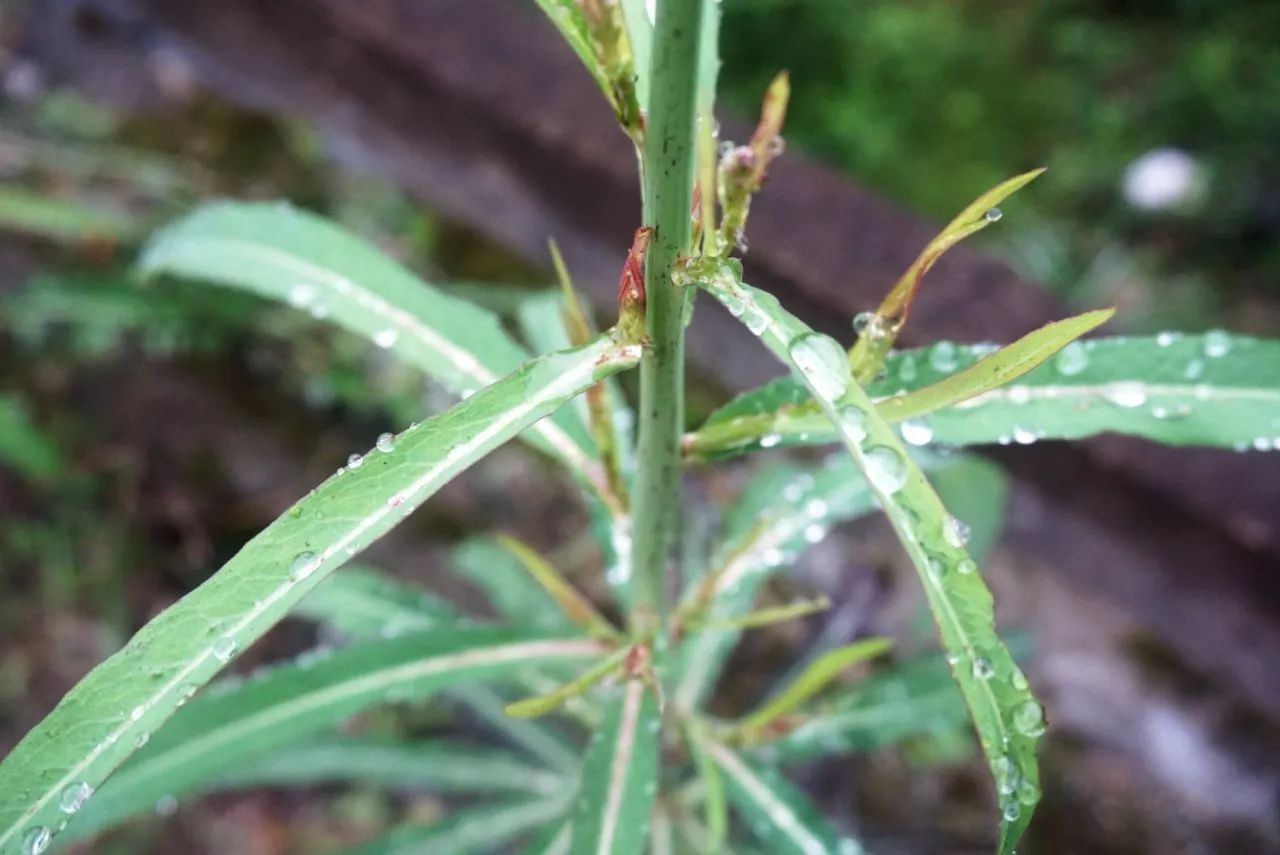 杭州·天方夜潭，給你一個(gè)「山脊之巔」的舞臺(tái)