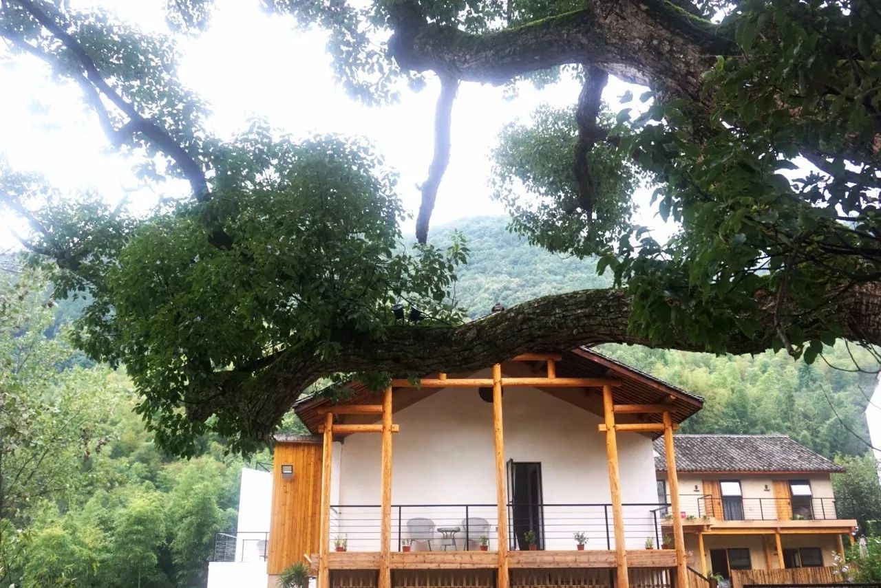 杭州·天方夜潭，給你一個「山脊之巔」的舞臺