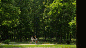 十二行宮·白羊?qū)m，盡享環(huán)島騎車之行