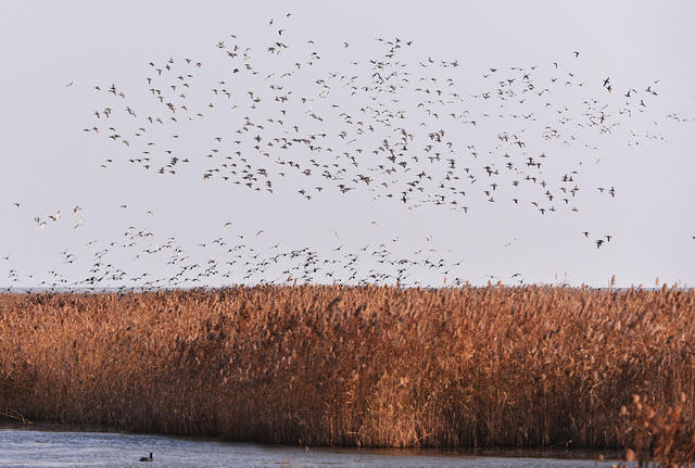 十二行宮·白羊?qū)m，盡享環(huán)島騎車之行