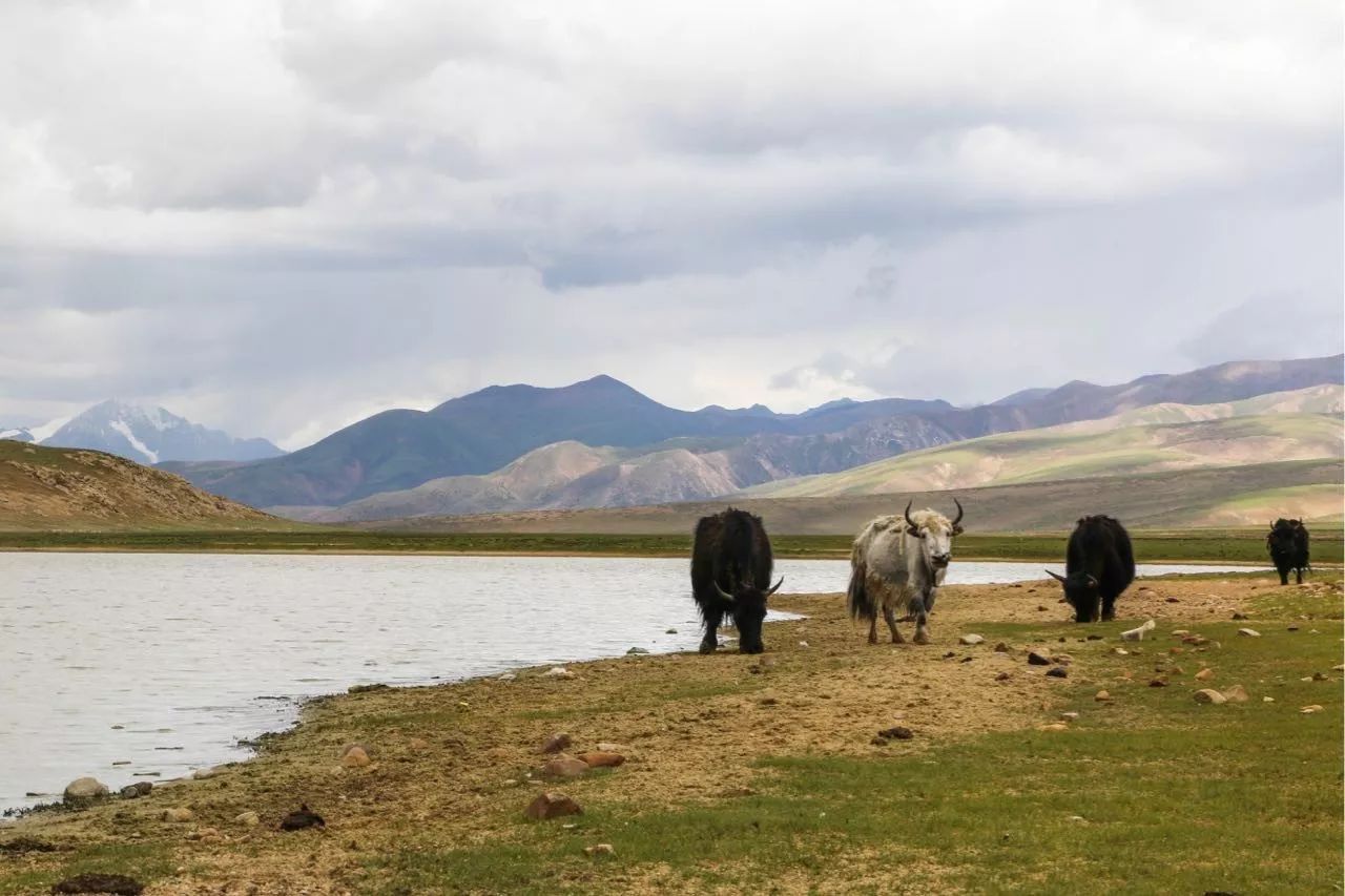 十二行宮·白羊?qū)m，盡享環(huán)島騎車之行