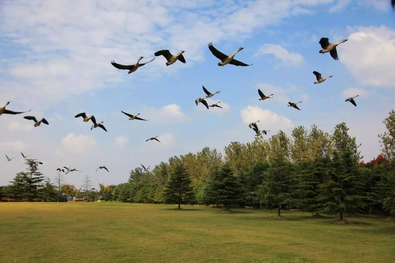 十二行宮·白羊?qū)m，盡享環(huán)島騎車之行