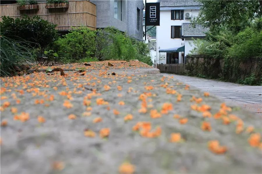 杭州·一色山墅，滿覺(jué)隴的月色喝茶散步都是雅事