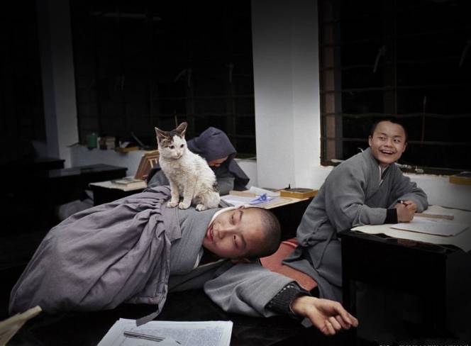 寺廟佛教文化，蕓蕓眾生便是修行