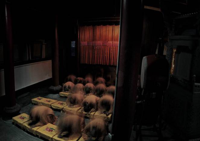 寺廟佛教文化，蕓蕓眾生便是修行