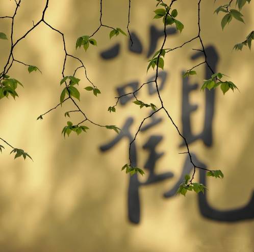 寺廟佛教文化，蕓蕓眾生便是修行