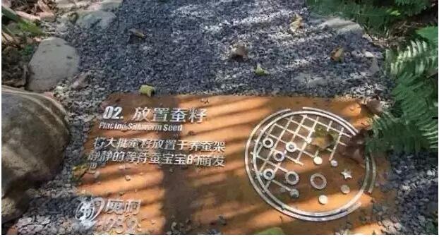 莫干山庾村1932文化市集，一村一世界