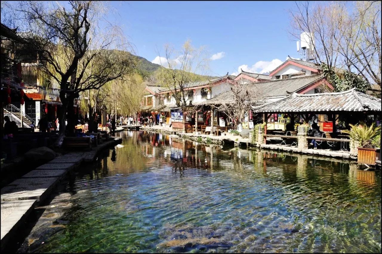 麗江束河無爾，在這里帶著夢想開花棲居