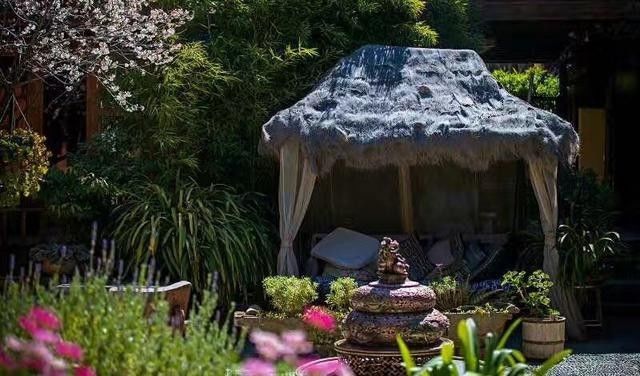 麗江束河無爾，在這里帶著夢想開花棲居