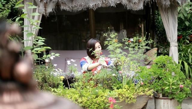 麗江束河無爾，在這里帶著夢想開花棲居