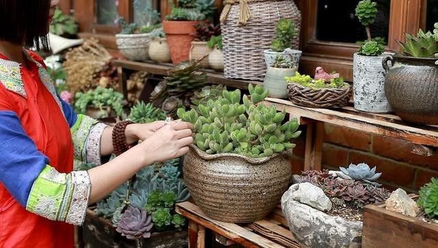 麗江束河無爾，在這里帶著夢想開花棲居